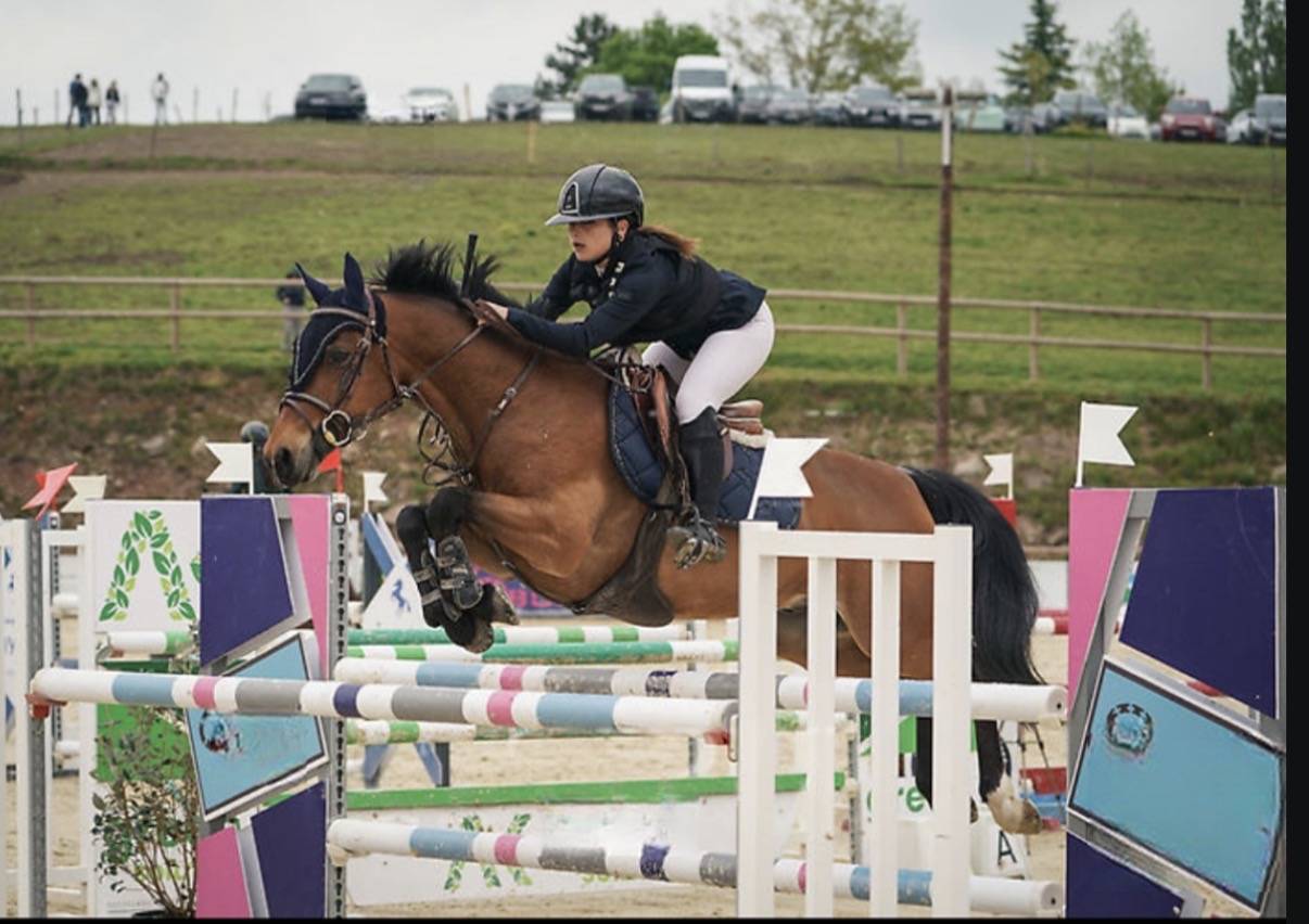 PONEY GRAND PRIX &Agrave; VENDRE/LOUER