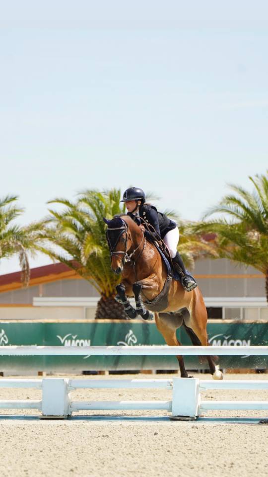 PONEY GRAND PRIX &Agrave; VENDRE/LOUER
