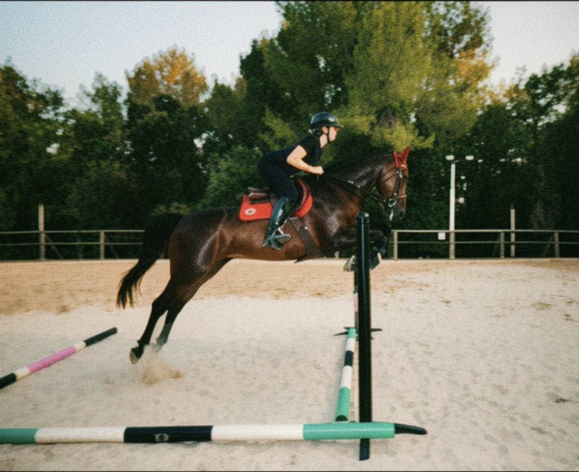 First lady -11 ans- sf