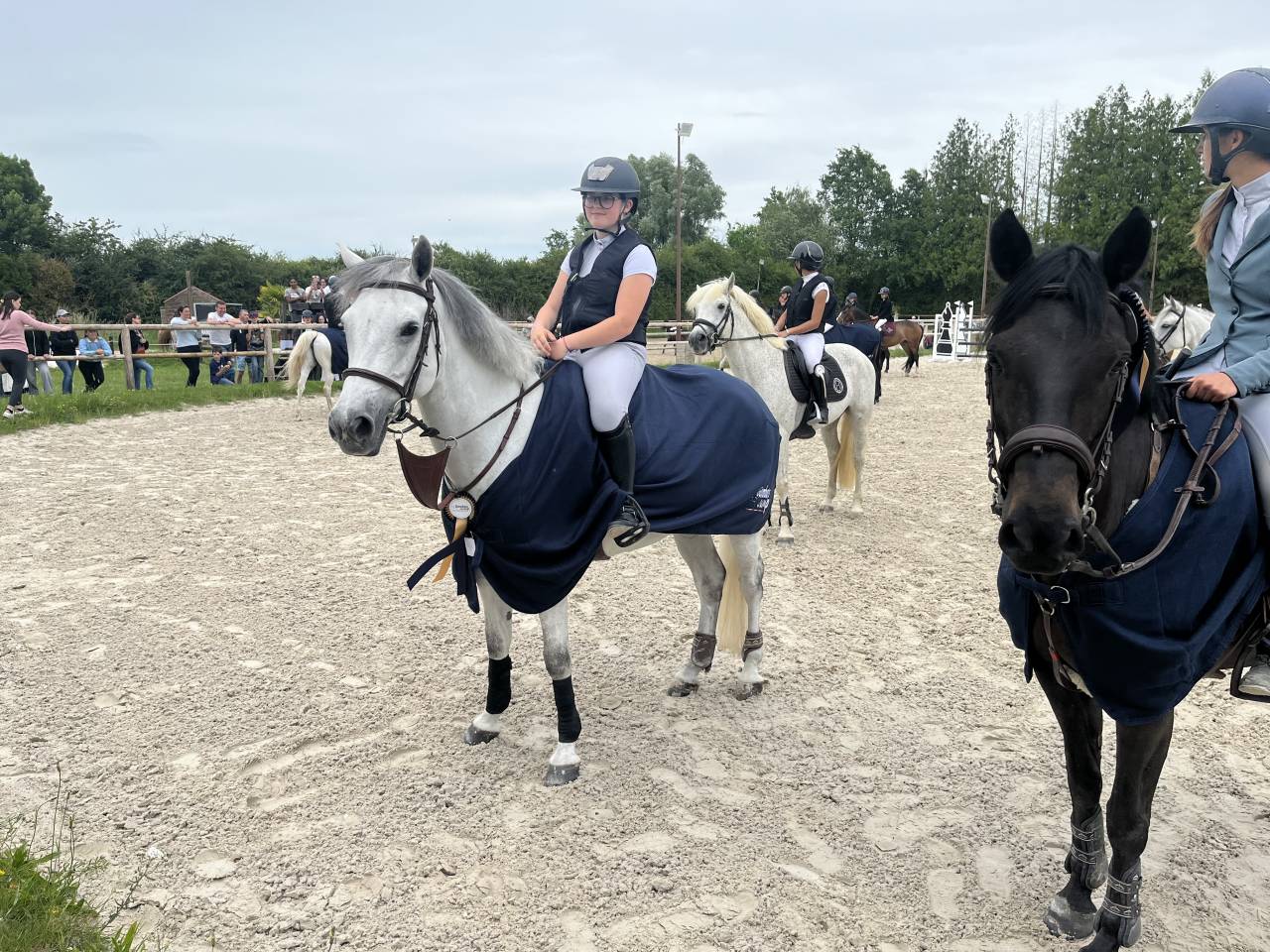Ponette connemara
