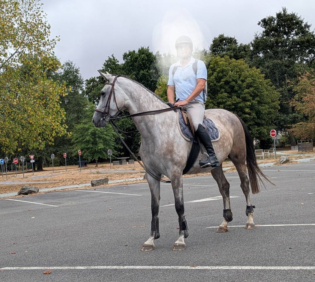Superbe jument 4 ans par chacco white