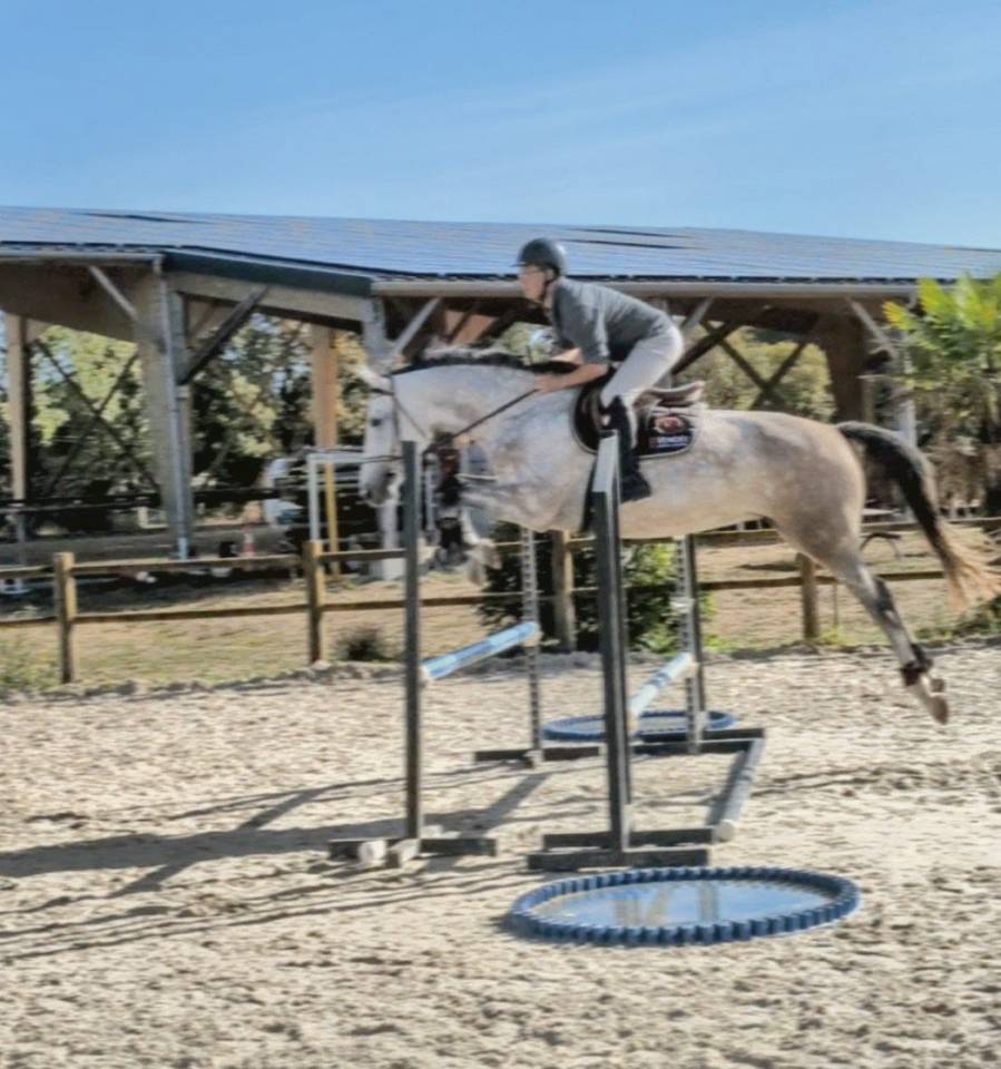Superbe jument 4 ans par chacco white