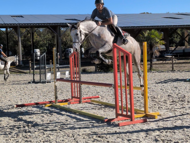 Superbe jument 4 ans par chacco white