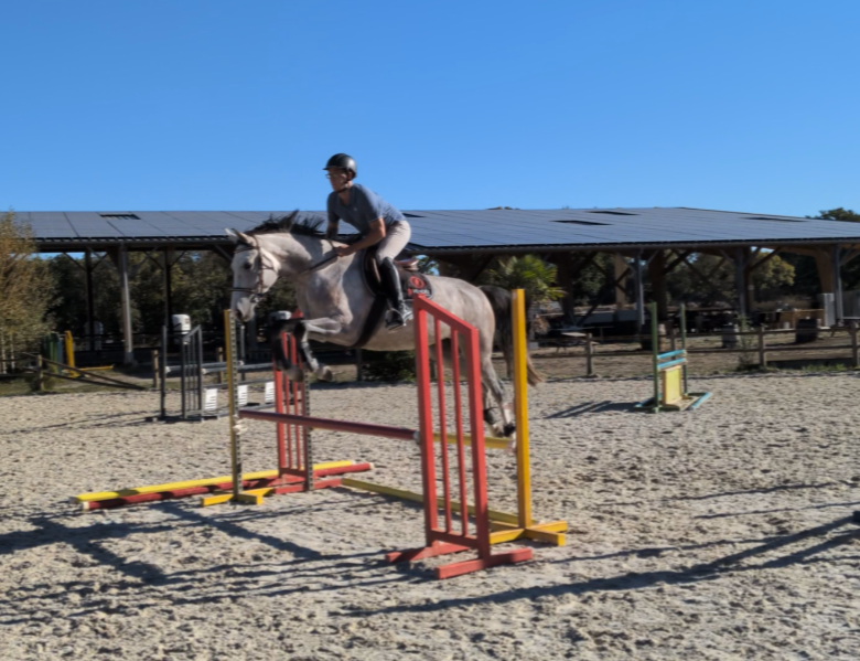 Superbe jument 4 ans par chacco white