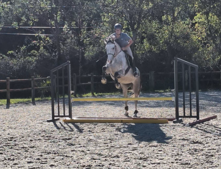 Superbe jument 4 ans par chacco white