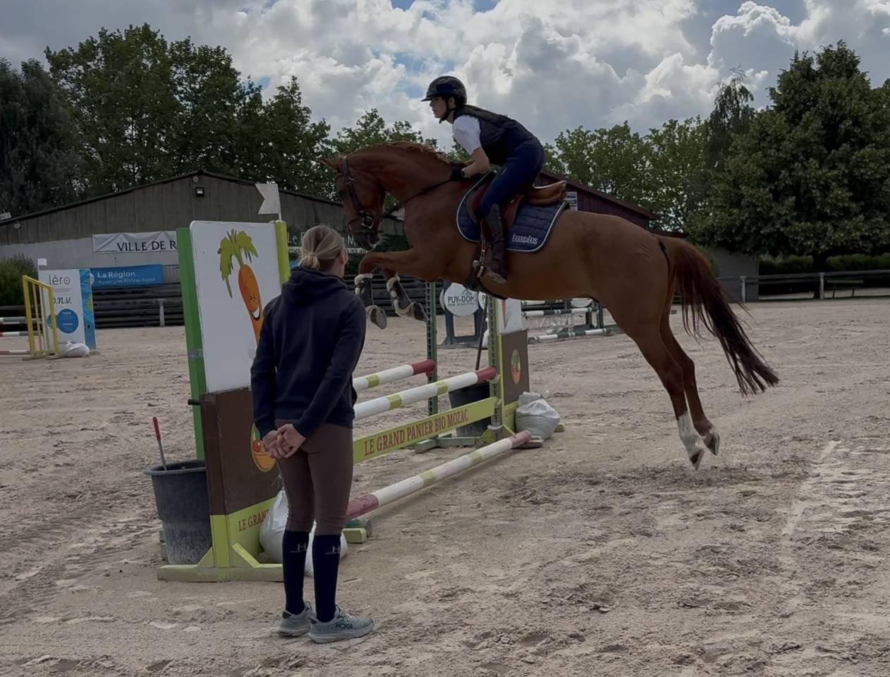 Jeune hongre 5 ans &ndash; sport &ndash; Riom (63)