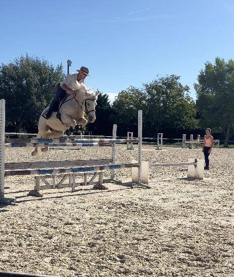 Hongre - PFS - 9 ans - CCE /CSO/ Polyvalent - France