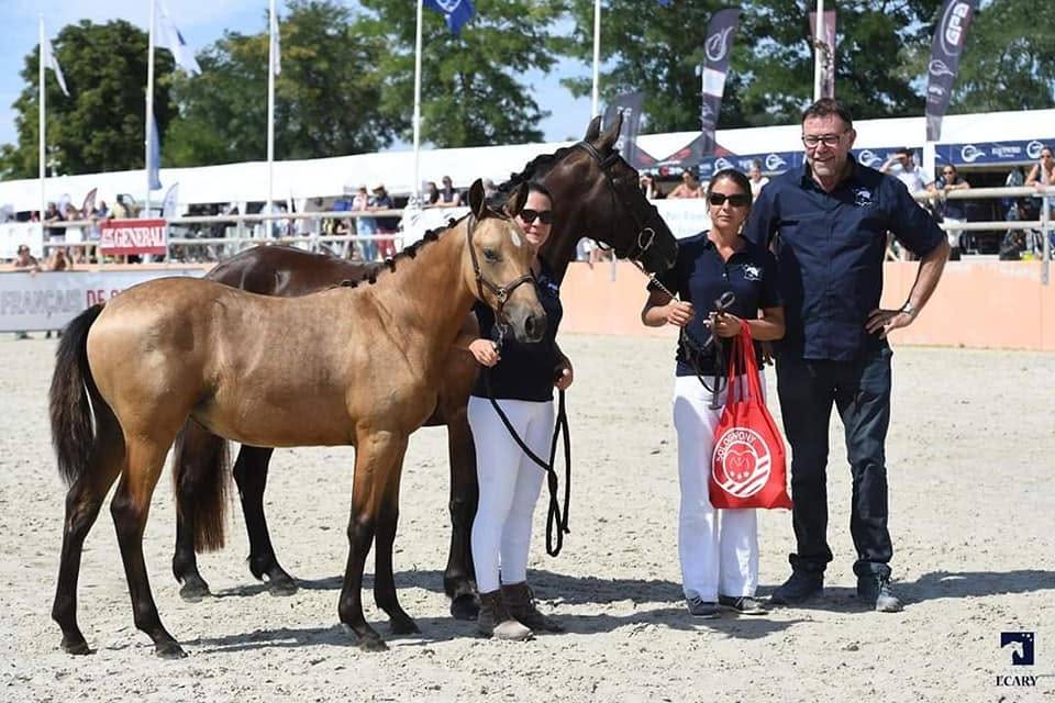 Accompagnement du propri&eacute;taire de poulain/ jeune cheval