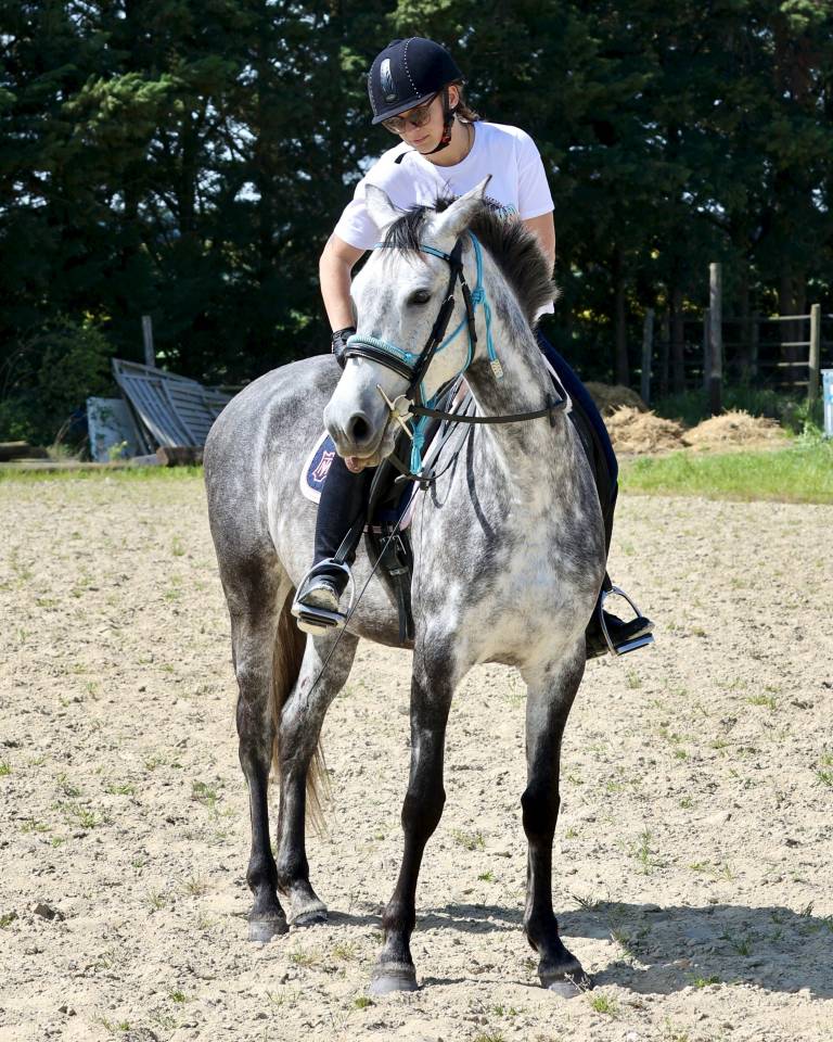 Tr&egrave;s jolie jument PRE PP APTA grise de 5 ans, d&eacute;bourr&eacute;e
