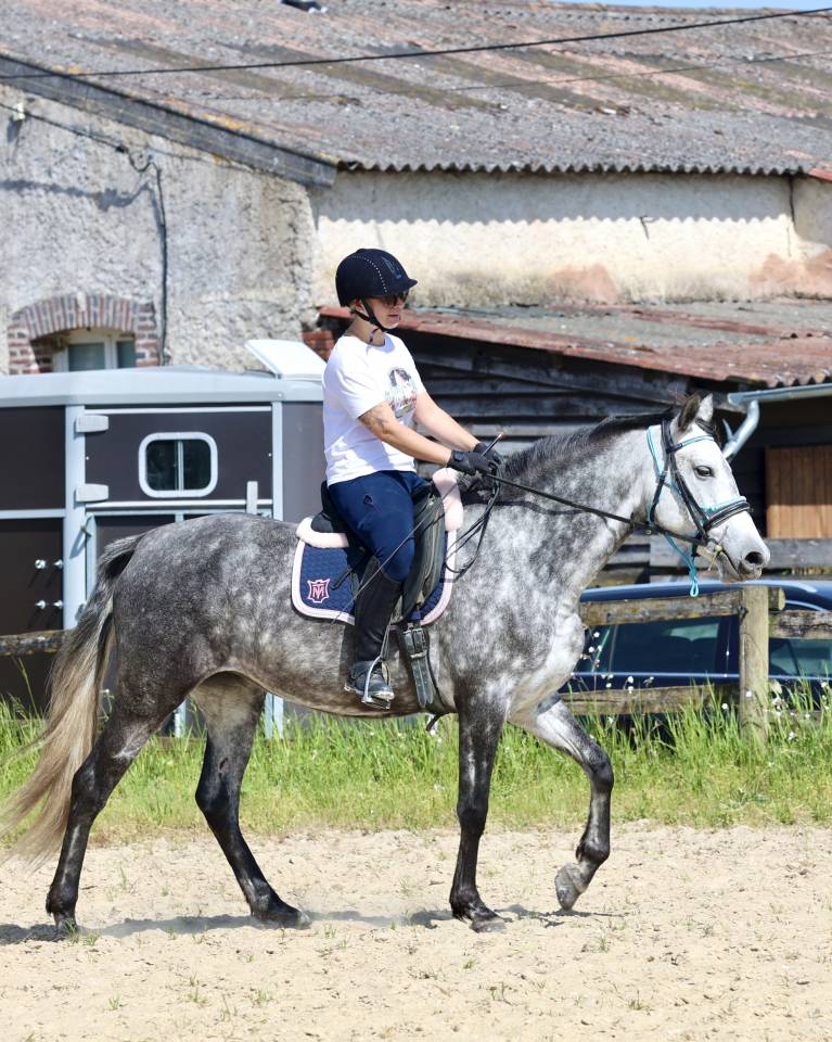 Tr&egrave;s jolie jument PRE PP APTA grise de 5 ans, d&eacute;bourr&eacute;e