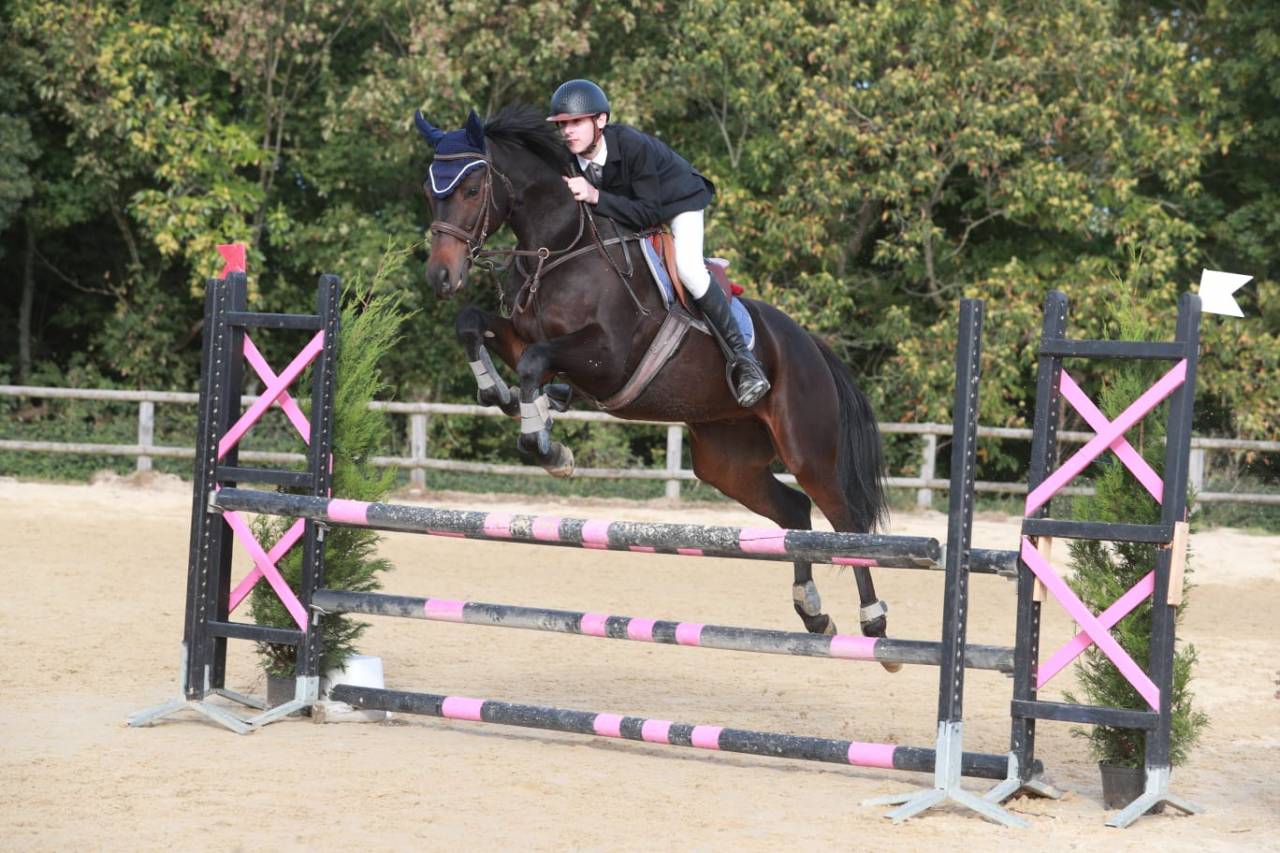 Vous recherchez un cheval toutes disciplines ? 