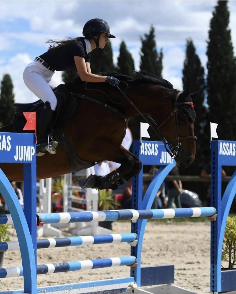 Cheval 12 ans Zangersheide 
