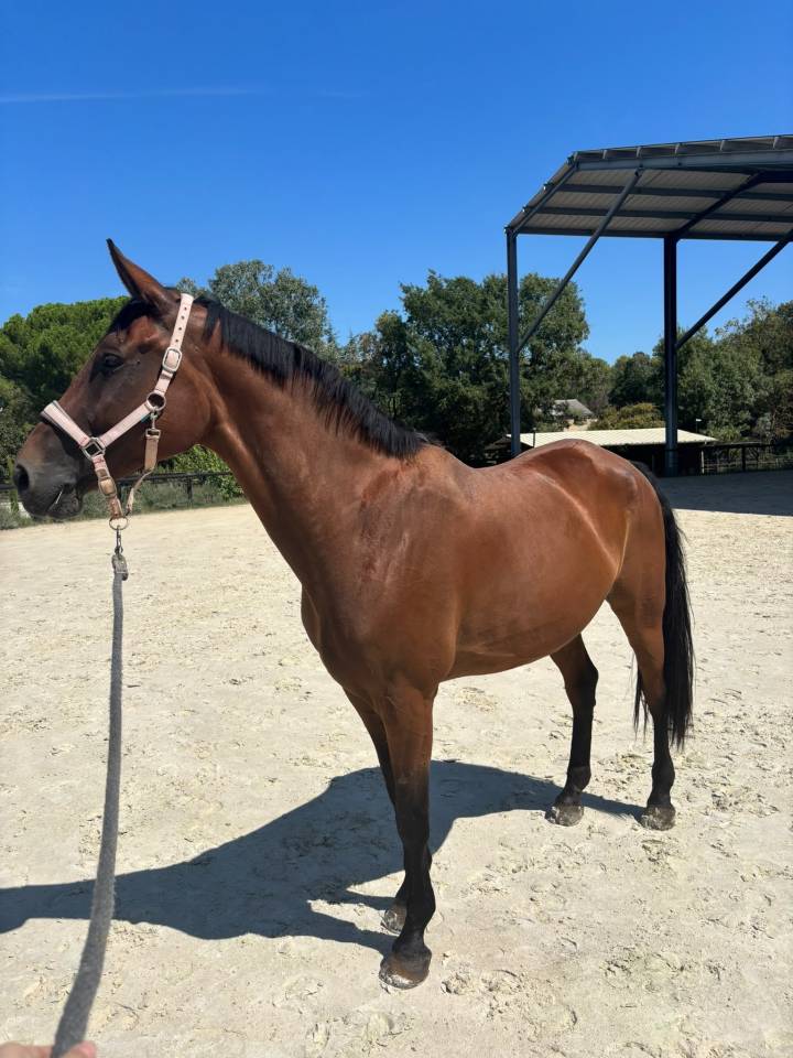 &Agrave; vendre 9 ans sortie 115 