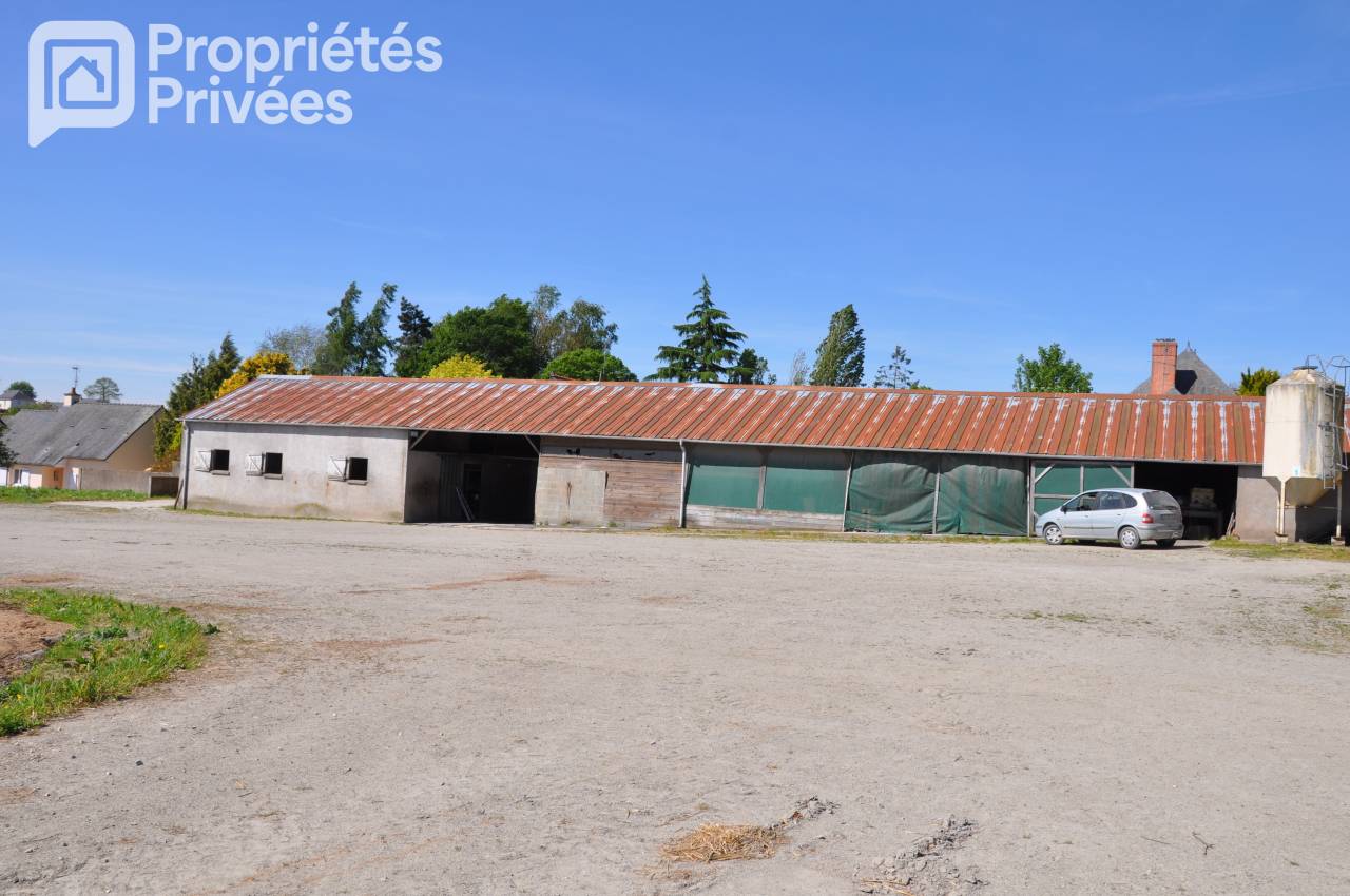 MAYENNE - CENTRE EQUESTRE 7 HECTARES, HANGAR, STUDIO