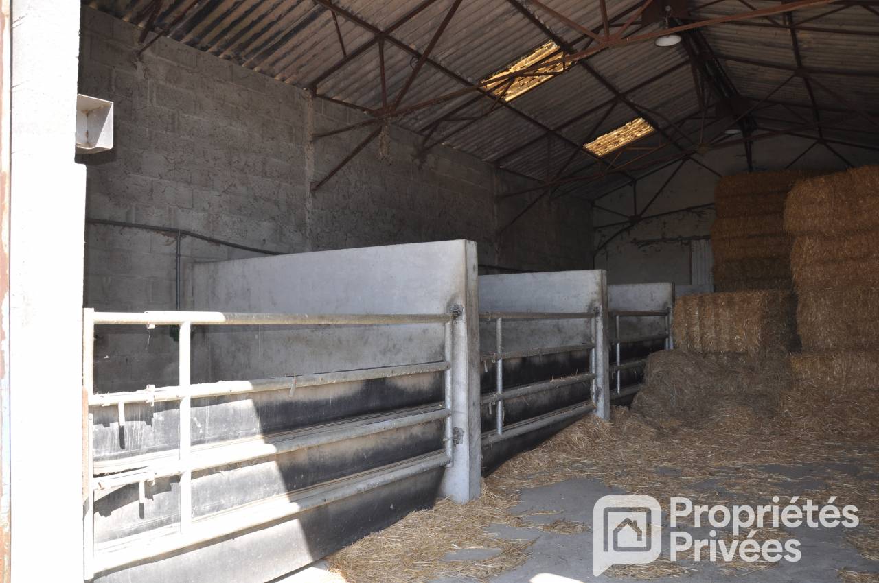 MAYENNE - CENTRE EQUESTRE 7 HECTARES, HANGAR, STUDIO