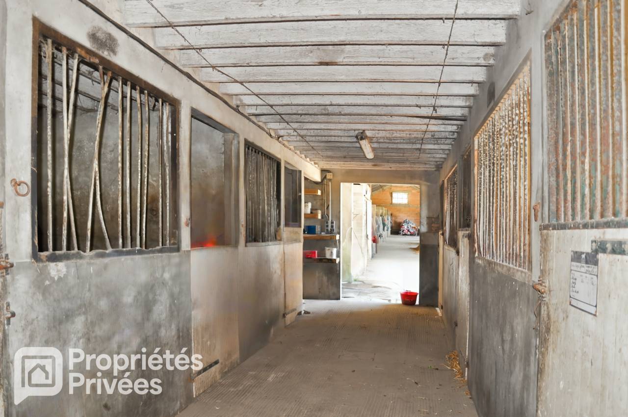 MAYENNE - CENTRE EQUESTRE 7 HECTARES, HANGAR, STUDIO