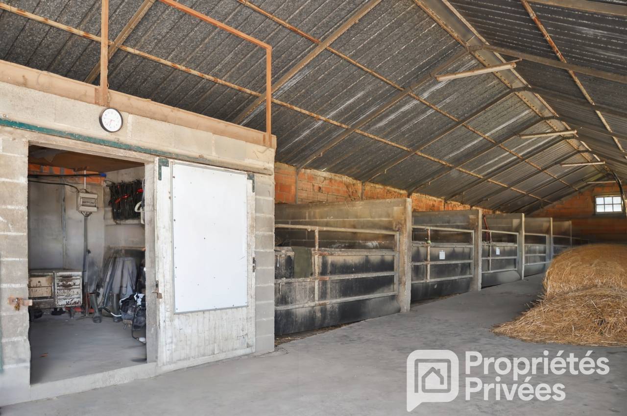 MAYENNE - CENTRE EQUESTRE 7 HECTARES, HANGAR, STUDIO