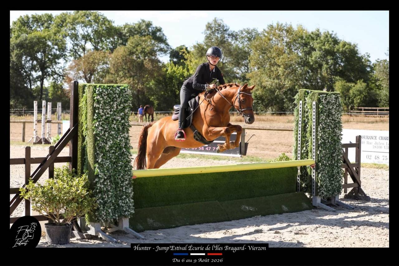 Poney C de sport 