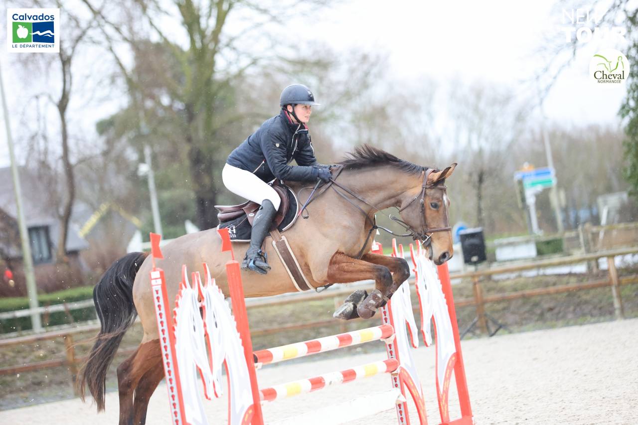 Cheval de loisir ++