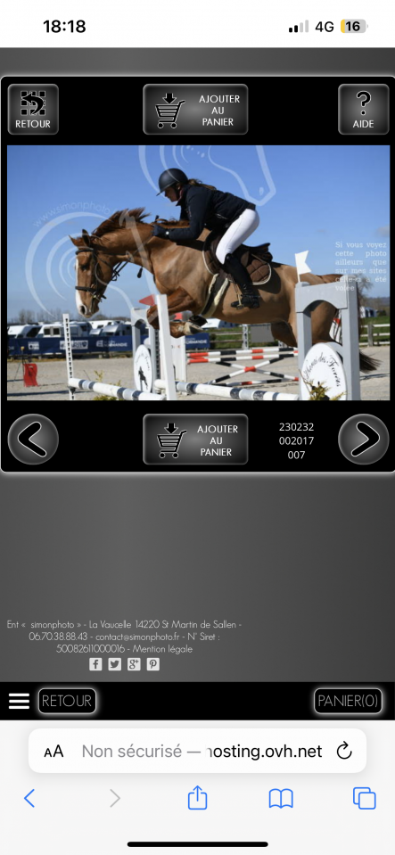 Cheval amateur Elite +++ 