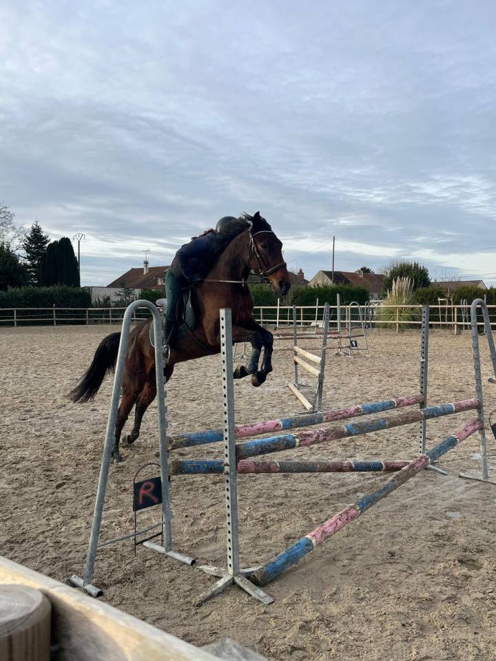 Cherche cavalier(e)