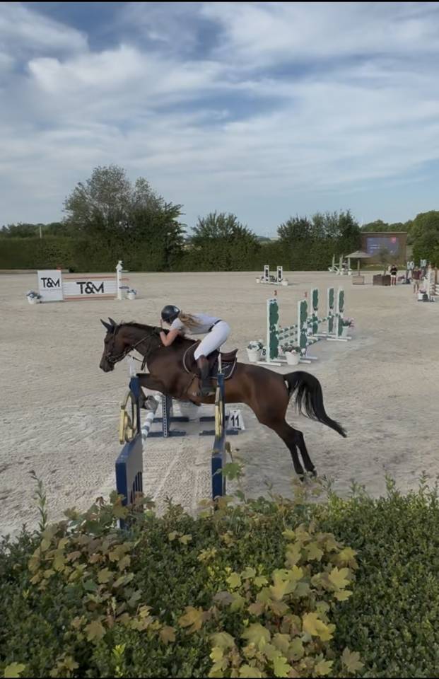 Jument 8 ans - Imperia de Bricard