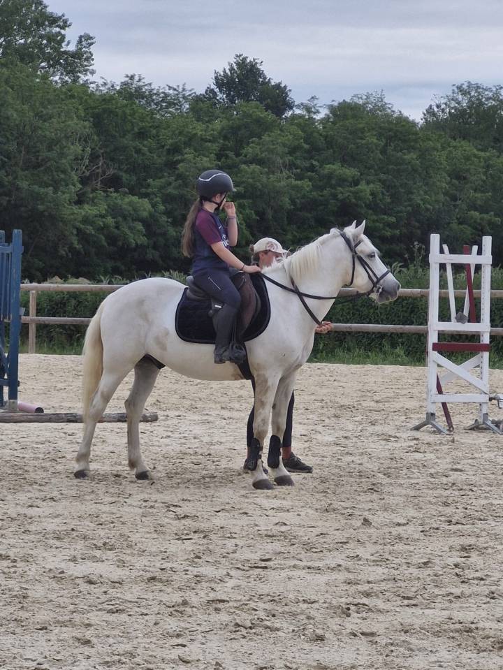 Demi pension poney camargue