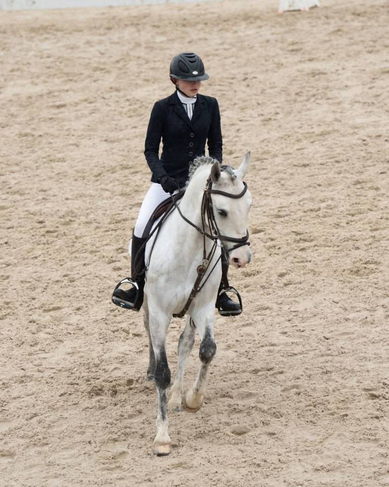Location poney CSO P1/P ELITE  DRESSAGE P ELITE