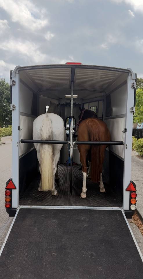 Ifor williams hb511 En tr&egrave;s bon &eacute;tat