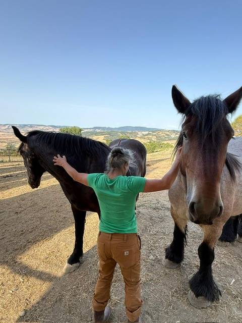Rejoignez notre domaine agricole dans le Val d&rsquo;Orcia
