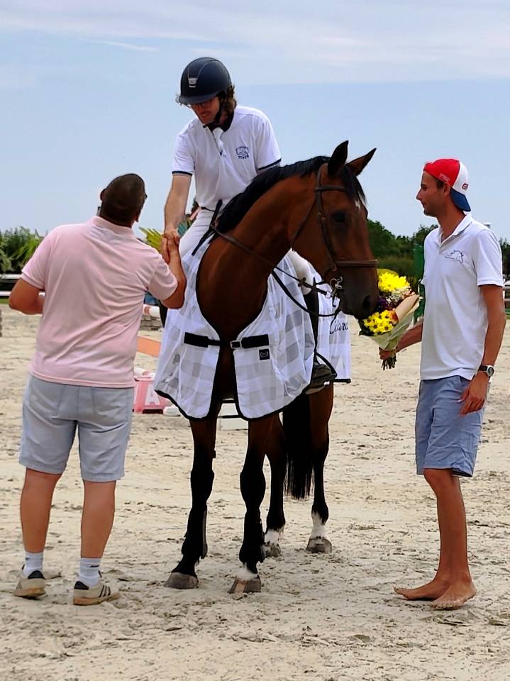 Hongre 6 ans par Chrome d'ivraie 