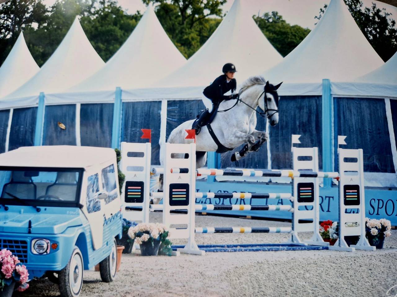 Cheval &agrave; vendre
