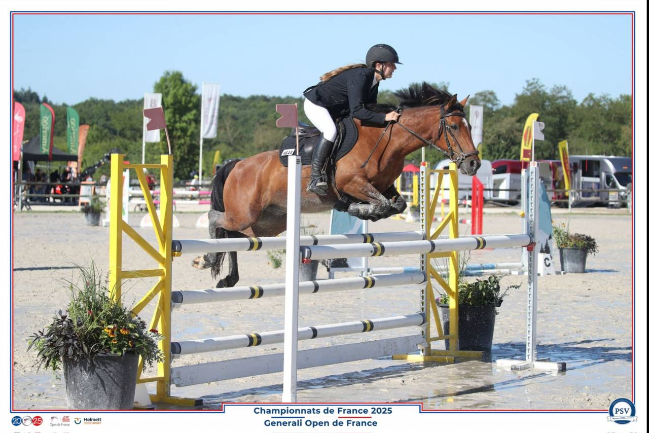 Poney de sport &agrave; vendre 