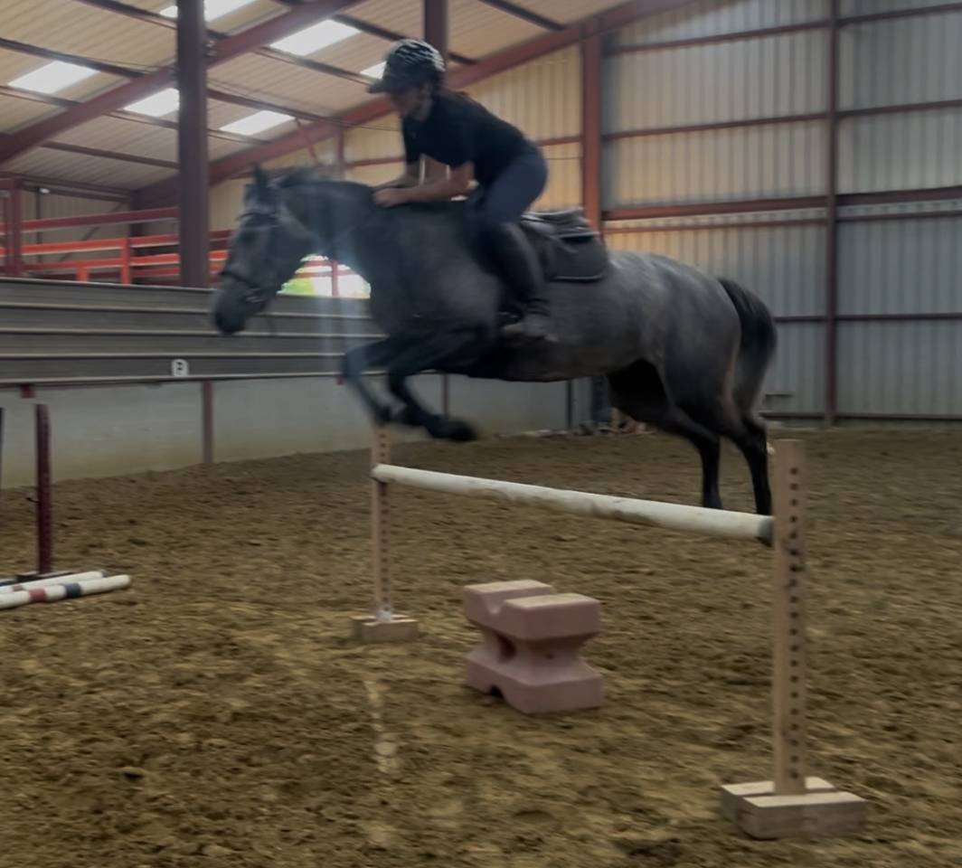 Connemara 4 ans