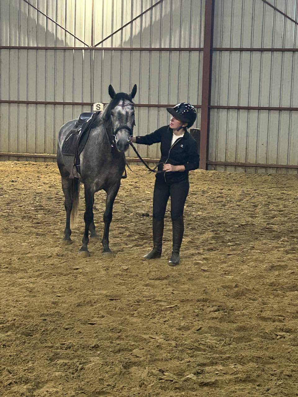 Connemara 4 ans