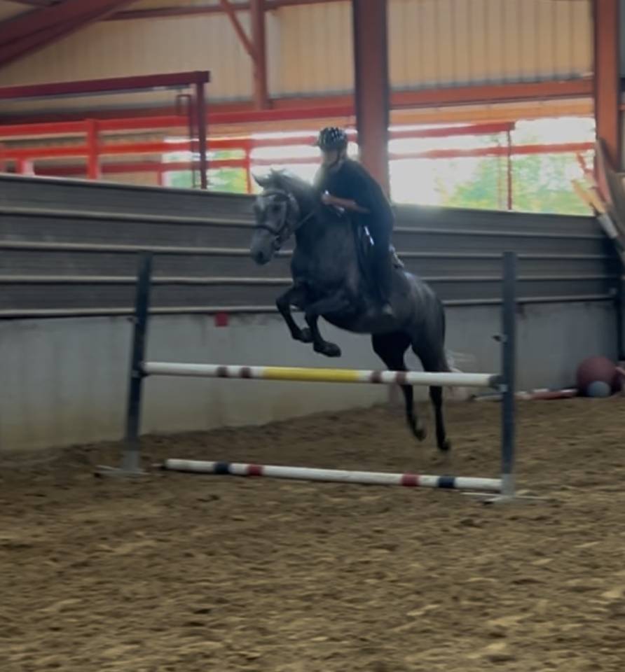 Connemara 4 ans