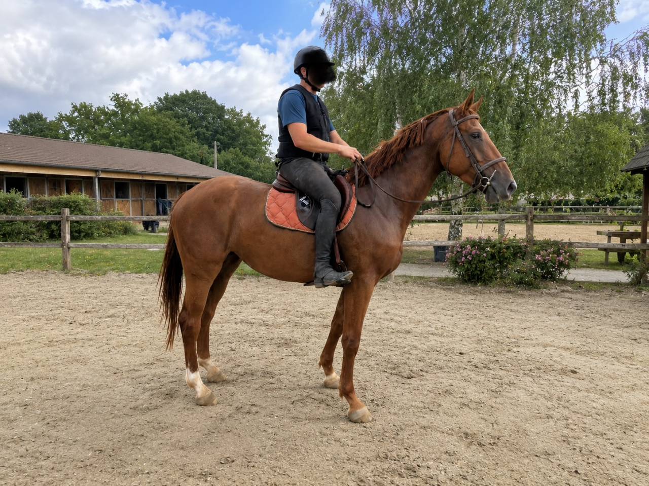 Nova de M&eacute;r&eacute; SF 3 ans 