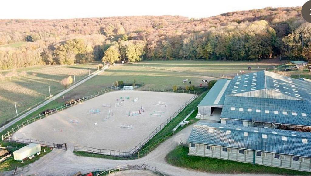 Recherche apprentis palefrenier/soigneur Yvelines