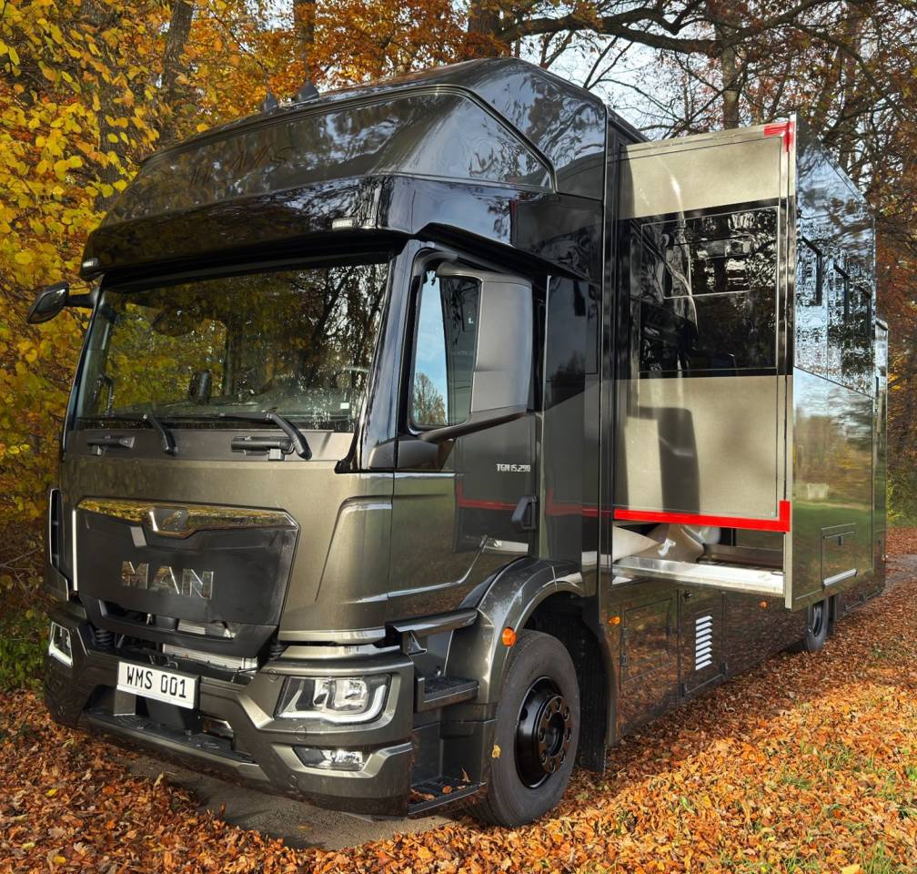 MAN TGM 15.290 WMS POP OUT