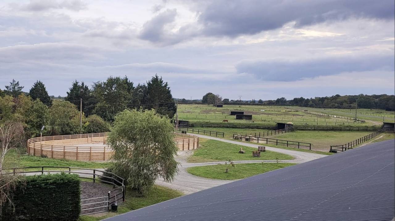 Pension chevaux & poneys - Durtal (49)