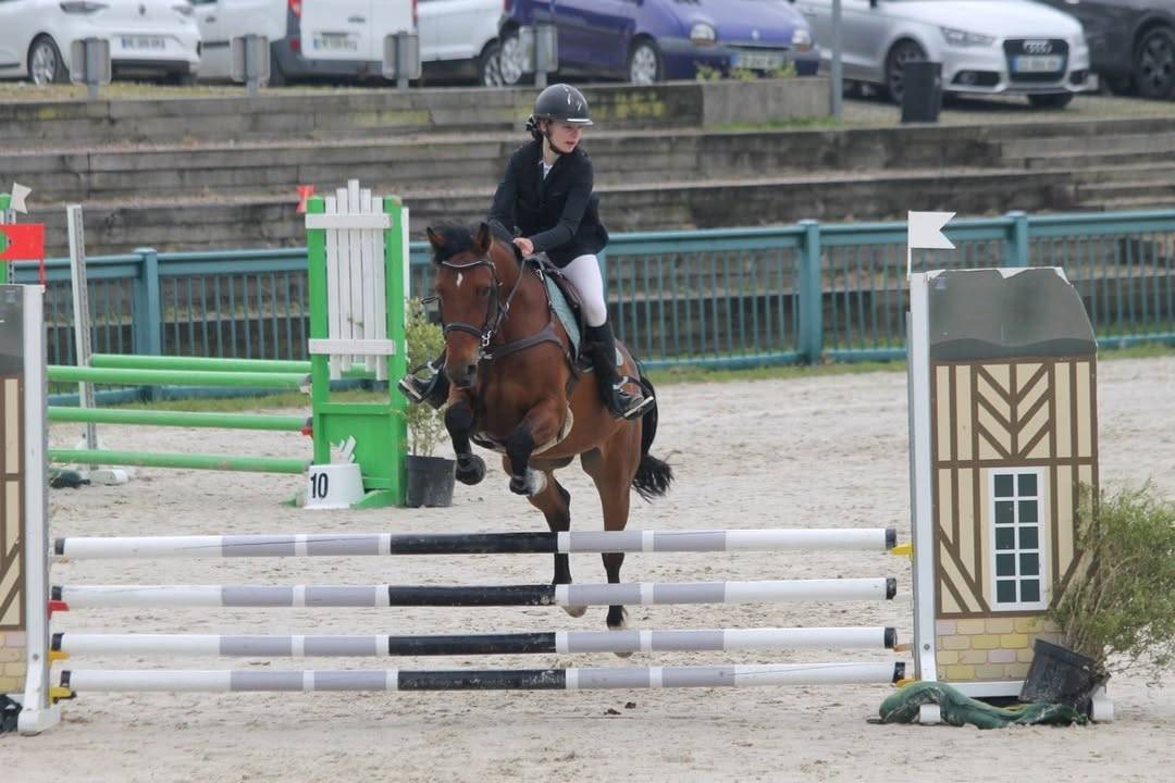 Hongre de 7 ans 1m49