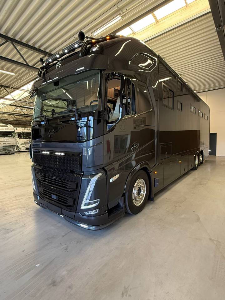 VOLVO FH 500 NF 8 HORSES