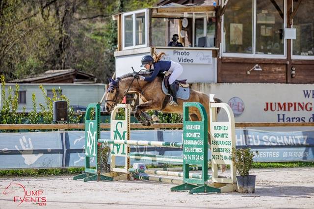 Cheval de sport cherche DP