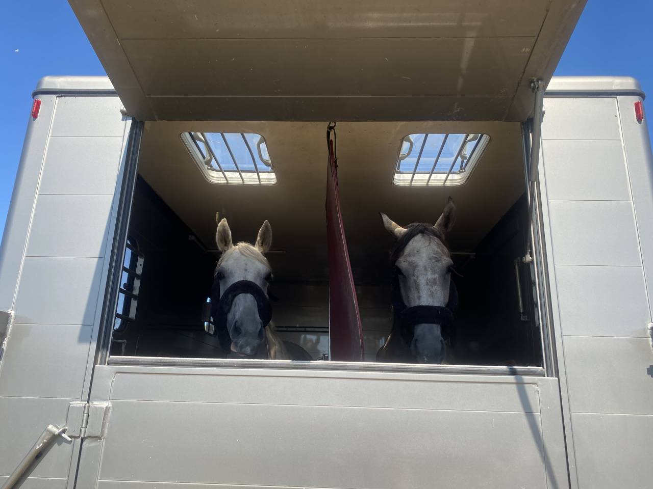 &Agrave; louer VL cheval 2 places avec appartement