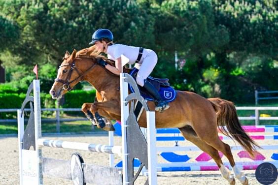 Superbe ponette C, Championne de France 