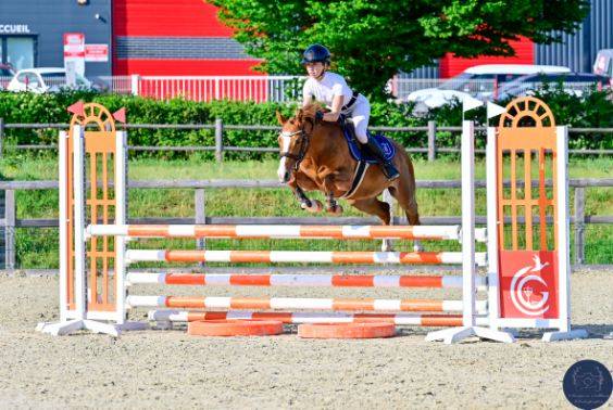 Superbe ponette C, Championne de France 