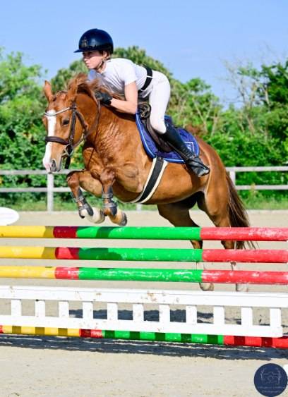 Superbe ponette C, Championne de France 