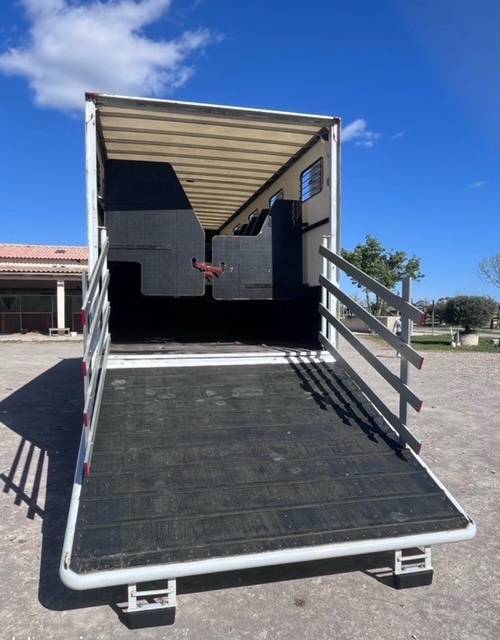 Camion Chevaux Renault Premium 11 places/sellerie