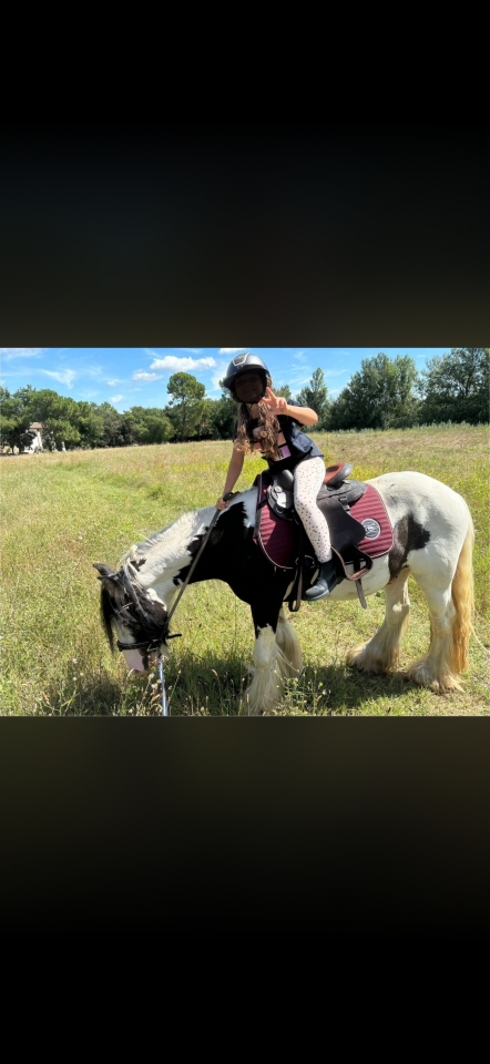 Vends poney adorable 
