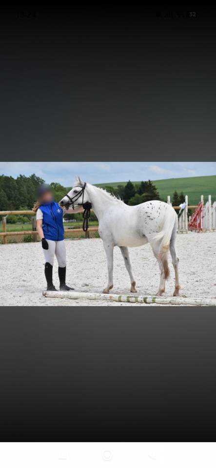 Ponnette de sport